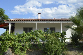 Litochoro Appartment in Estate A3